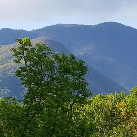 Mountain Serenity แกตลิงเบิร์ก ภายนอก รูปภาพ